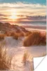 MuchoWow® Poster Düne - Pflanzen - Sonnenuntergang - Strand Produktbild-Vorschau 1