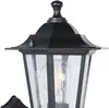 Close-up of a black outdoor wall lantern with a clear glass enclosure and an Edison-style light bulb inside. Anteprima dell’immagine prodotto