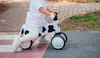 A child riding a balance bike on a path. Náhled obrázku produktu