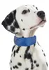 PROCYON Kühl-Bandana für Hunde - L Produktbild-Vorschau 1