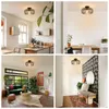 Collage of four images showing a modern black metal ceiling light in different room settings: a kitchen, a dining area, a living room, and a hallway. Náhľad obrázku produktu