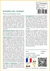 SAFLAX  - Grenadier nain - 50 graines - Punica Voir les images du produit 3