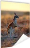 MuchoWow® Poster Känguru - Himmel - Landschaft 40x60 cm - Produktbild-Vorschau 1