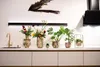 A kitchen counter with several decorative items, including vases with flowers and potted plants. Voir les images du produit