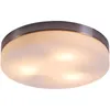 Globo Lighting plafoniera in metallo nichel opaco, 3x E27 Anteprima dell’immagine prodotto 2