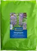 Kiepenkerl Gründüngersaat Düngelupine Lupinus angustifolius Produktbild-Vorschau 5