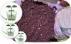 Blumenerde Premium - 10L - für Zimmerpflanzen - Hochwertige Produktbild-Vorschau 6