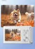 Aparat Cyfrowy Zdjęcia 64MP Filmy 4K / 30fps 18x ZOOM Podgląd zdjęcia produktu 6