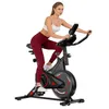 Heimtrainer Fahrrad mit Verstellbarem Widerstand, Leises Produktbild-Vorschau 2