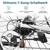 28Zoll E Bike, City E-Bike & E-Hollandrad mit 36V 14.5Ah Produktbild-Vorschau 6