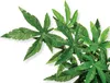 Exo Terra Buchsbaum, künstliche Pflanze für Terrarien, 4 g Produktbild-Vorschau 5