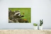 MuchoWow® Poster Waschbär - Blumen - Orange 30x20 cm - Produktbild-Vorschau 5