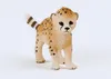 Schleich Wild Life - Gepardenjunges, Figur für Kinder ab 3 Produktbild-Vorschau 3