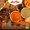 Zucca Chai - 17 sacchetti 32,3 g Anteprima dell’immagine prodotto 3