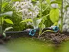 Gardena 13314-20 goutteur d'irrigation 8 l/h Noir Montage Voir les images du produit 4