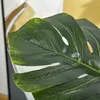 Plante artificielle 830-431, monstera, pot en plastique, Voir les images du produit 10