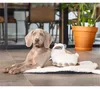 Beeztees Puppy Cuddle Toys und Herzschlag Simulator Lama Produktbild-Vorschau 10