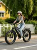 26 * 4,0 palce Fatbike, městské kolo 250W 70Nm elektrické Náhled obrázku produktu 5