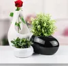Three decorative pots with plants and a rose are arranged on a white surface. Náhľad obrázku produktu