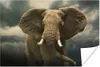 MuchoWow® Poster Afrikanischer Elefant gegen die dunklen Produktbild-Vorschau 2