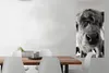 MuchoWow® Poster Schottischer Highlander - Schwarz - Weiß - Produktbild-Vorschau 2