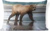 MuchoWow® Outdoor Kissen - Bär - Strand - Wasser - 50x30 cm Produktbild-Vorschau 1