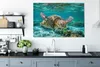 MuchoWow® - Leinwandbilder - Eine Schildkröte schwimmt Produktbild-Vorschau 4