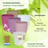 MePla - 2 Stück - Orchideenübertopf 500 lizzard ø 14 Produktbild-Vorschau 3