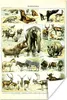 MuchoWow® Poster Tiere - Elefanten - Hirsche 120x180 cm - Produktbild-Vorschau 1