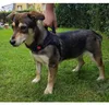 PURLOV 16149 Geschirr für Hund S schwarz Produktbild-Vorschau 10