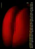 Pornogirls Kalender DIN A4 2026 Jens Brüggemann Produktbild-Vorschau 15