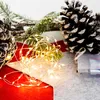 LED svetelná reťaz, strieborný drôt, 80 LED, teplá biela, Náhľad obrázku produktu 5