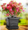 Quattro Blumentopfschale, braun, Länge 40 cm Produktbild-Vorschau 3