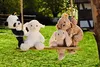 Steiff Hase Hoppie Friends 38 cm 080487 Produktbild-Vorschau 3