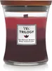 WoodWick Trilogy-Duftkerze im Sanduhrglas, Sun-Ripened Produktbild-Vorschau 5