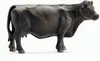 Schleich - Figure di animali, mucca Black Angus; 13767 Anteprima dell’immagine prodotto 2