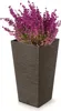 A tall, square planter with a textured brown finish, filled with vibrant purple flowers. Produktbild-Vorschau