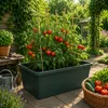 5X Elho Green Basics Beweglicher Garten - Gemüsegarten - Produktbild-Vorschau 7