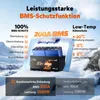 2x 12V 100Ah H190 LiFePO4 Batterie mit Bluetooth, Heizung & Produktbild-Vorschau 8