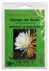 Kakteen – Königin der Nacht Samen | Selenicereus Produktbild-Vorschau 1