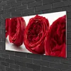 Acrylglasbilder 100x50 Wandbild Druck Rosen Pflanzen Produktbild-Vorschau 2