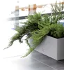 Prosperplast Blumenkasten RATO CASE Weiß 60 cm Produktbild-Vorschau 15