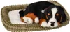 Perfect Petzzz 96644 Berner Sennenhund Produktbild-Vorschau 2