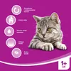 Whiskas Adult Sucha karma dla dorosłych kotów o smaku Podgląd zdjęcia produktu 6