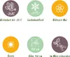 GreenboutiQ - Stamm-Pflanze - Syringa meyeri Palibin - Produktbild-Vorschau 7