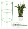 Podpora pierścieniowa do roślin kwiatów 60 cm stelaż Podgląd zdjęcia produktu 5