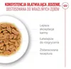 Royal Canin Ageing 11+ Nassfutter 24x85g Stückchen in Soße Produktbild-Vorschau 7