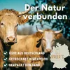 Rinderkopfhaut 20-25 cm für Hunde 1 Kg Hundesnack Kausnack Produktbild-Vorschau 4