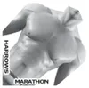 Harrows Marathon 4 Aces Standard Dart Flights Voir les images du produit 4