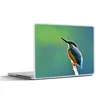 MuchoWow® Laptop Aufkleber Sticker Cover Eisvogel - Äste - Produktbild-Vorschau 1